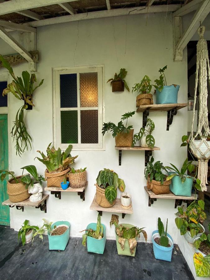 The Bodhi Tree Karimunjawa Hostel Екстериор снимка